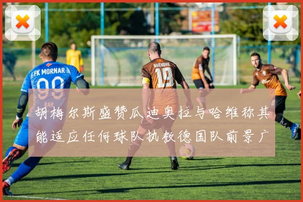 胡梅尔斯盛赞瓜迪奥拉与哈维称其能适应任何球队执教德国队前景广阔