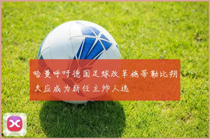 哈曼呼吁德国足球改革施蒂勒比朔夫应成为新任主帅人选