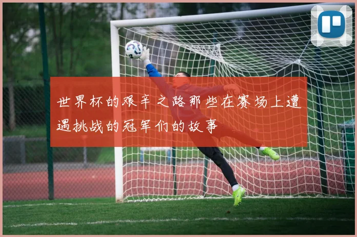 世界杯的艰辛之路那些在赛场上遭遇挑战的冠军们的故事